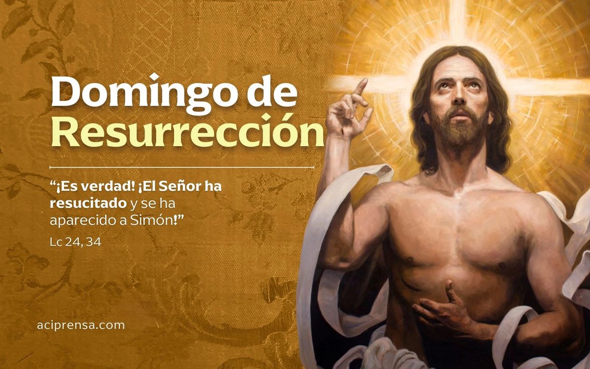 News Vaticano 🇻🇦 tweet media