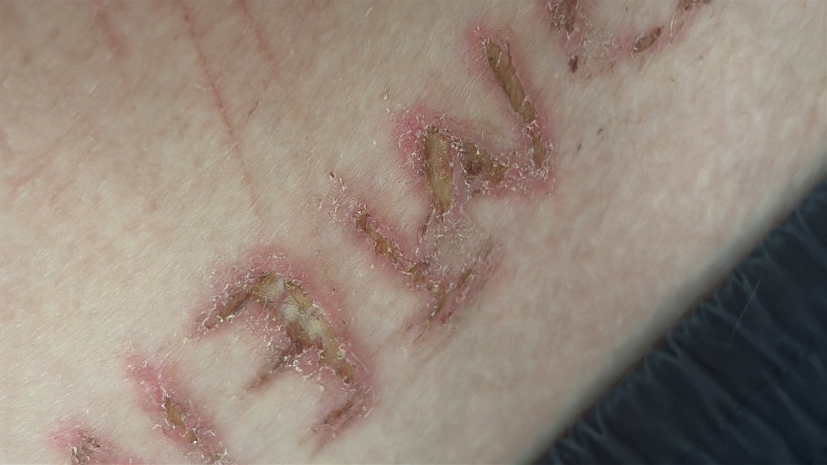 *.• SAM •.* samuel montembeault no 1 fan!!!! tweet media