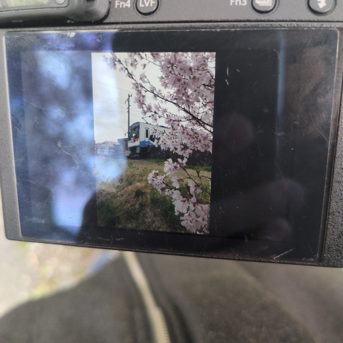 あずさ64号 tweet media