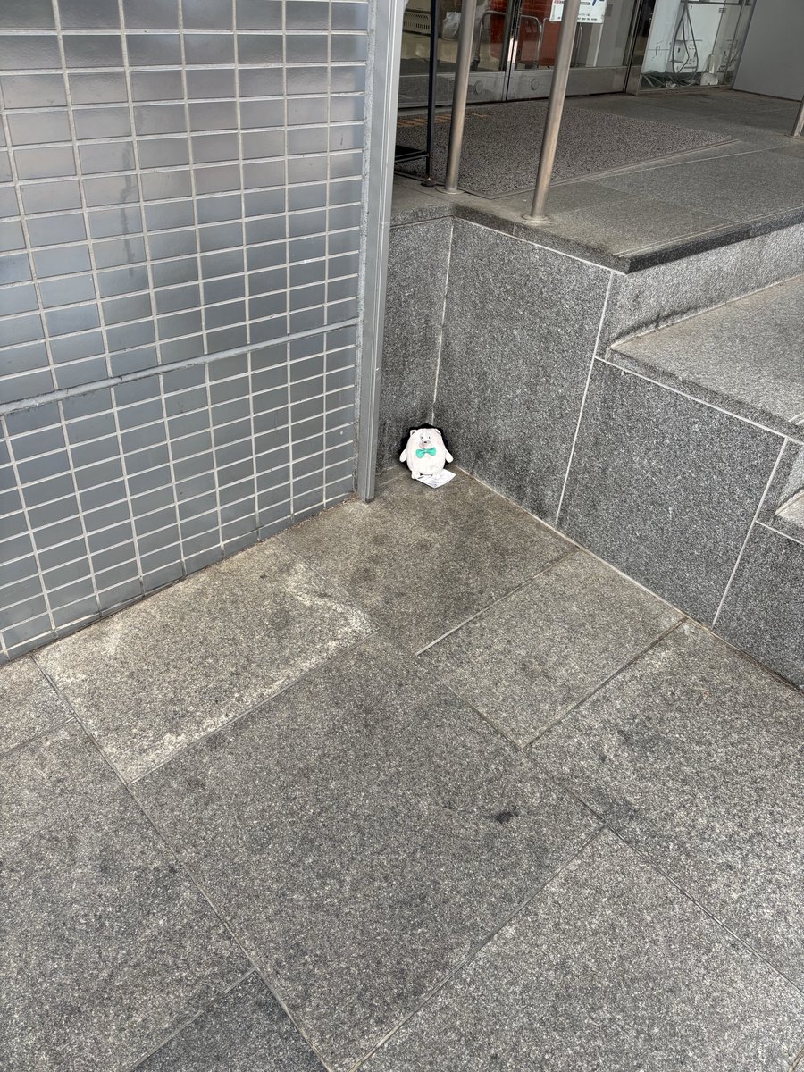 きゅあ tweet media