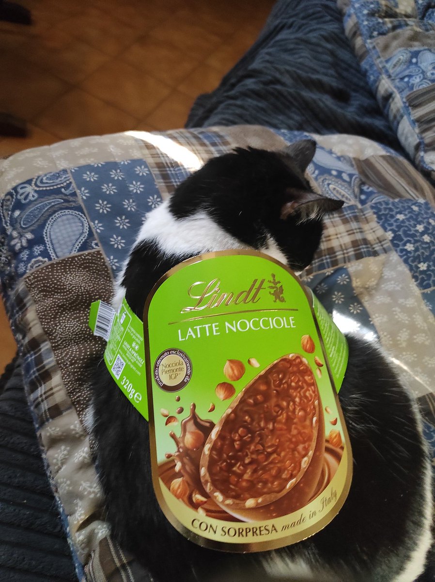 Raffaella Ruggeri tweet media