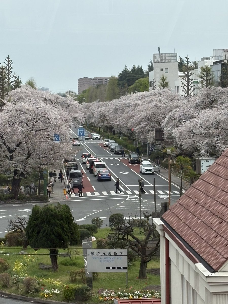 tomo@資格挑戦アカウント tweet media