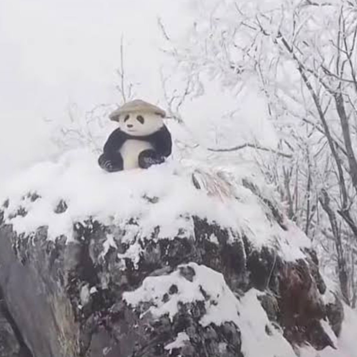 AlekeyMonokuma's tweet photo. Que bárbaro, que bárbaro ... 🐼
#lidermonokuma #dibujodigital #oc #meme #art #tiktok #tiktokart #XD #kunfupanda #dibujo #furry #furryart https://t.co/nCAko3baSE