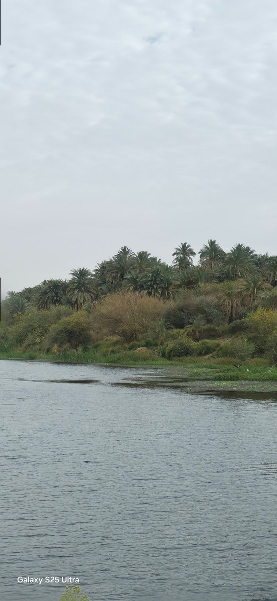 M.Farouk tweet media