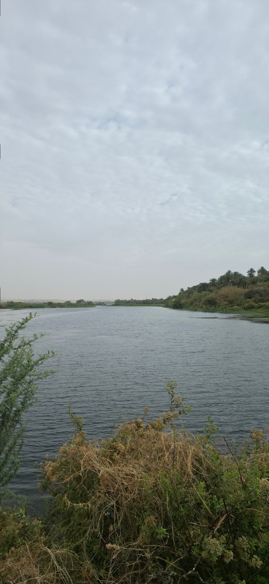 M.Farouk tweet media