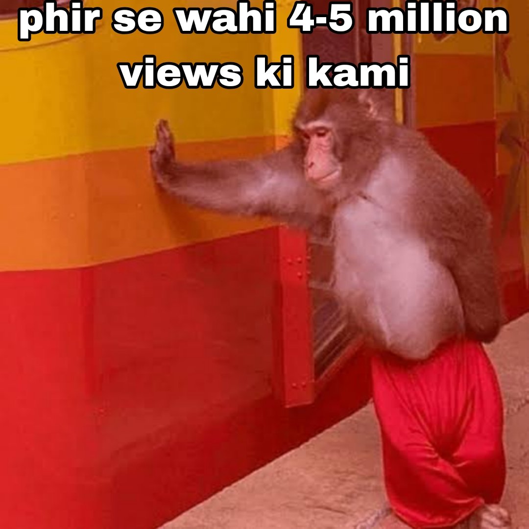 Akankshaa🧚‍♀️ tweet media