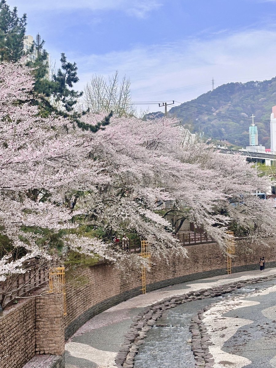 구르미☁️ tweet media