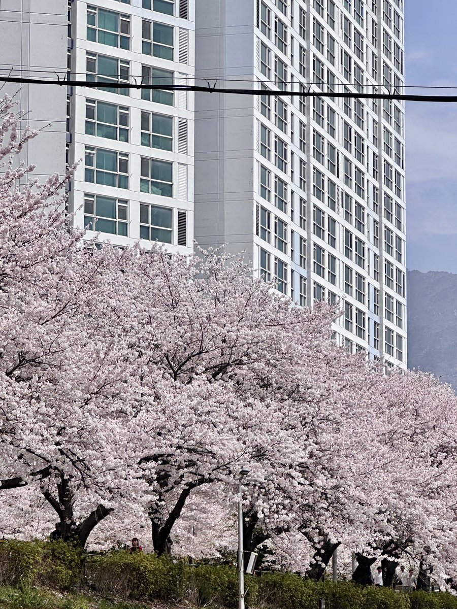 구르미☁️ tweet media