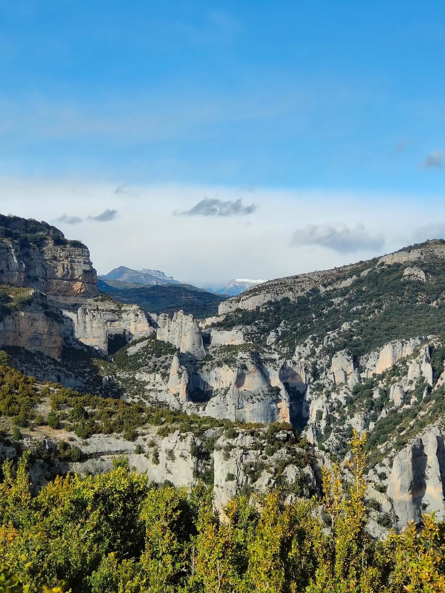 💧 Las Fajas del Mascún, en el Parque Natural de la Sierra y los Cañones de Guara, son uno de los paisajes más espectaculares de todo el Prepirineo aragonés 🌿 Un lugar que pide respeto y cuidado para que siga siendo así de salvaje y único 💚

Fotos de instagram.com/elena_m_m_