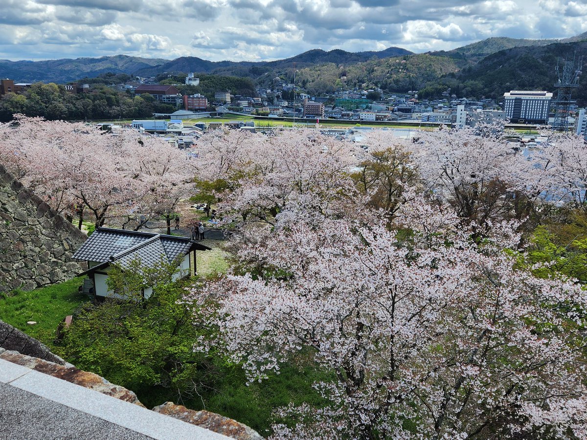 なおやん tweet media