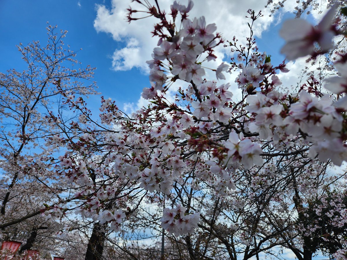 なおやん tweet media