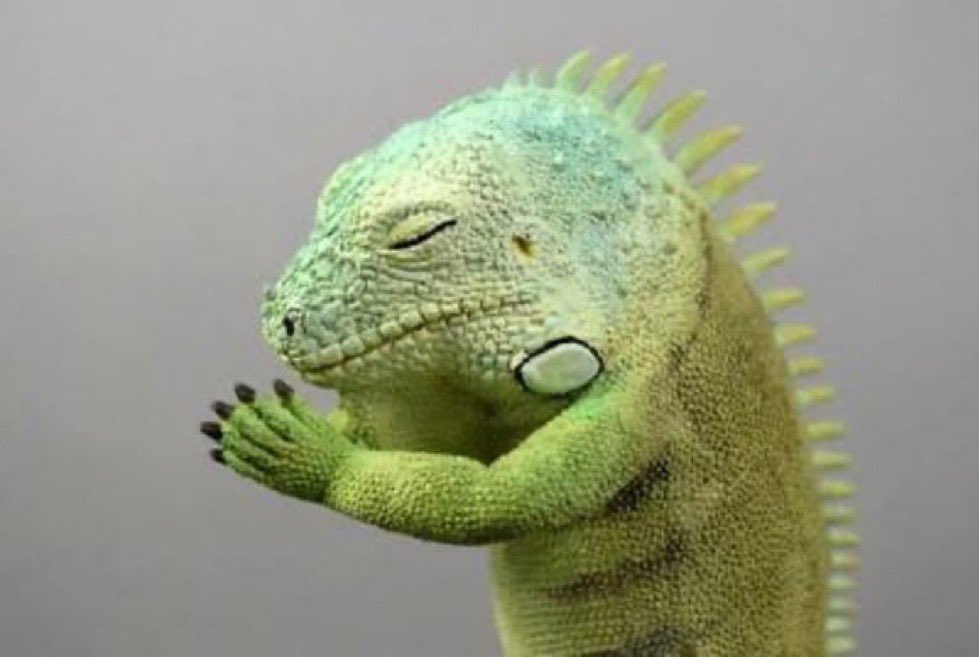 🍍パイン🍍 tweet media