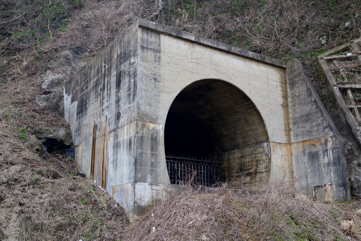 線閉中・続 tweet media