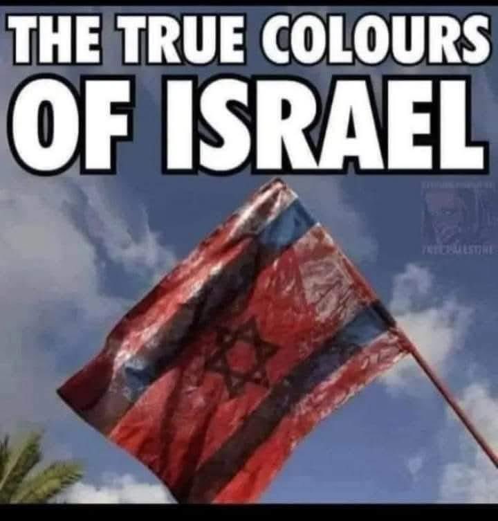 jphilippeviaud's tweet image. 