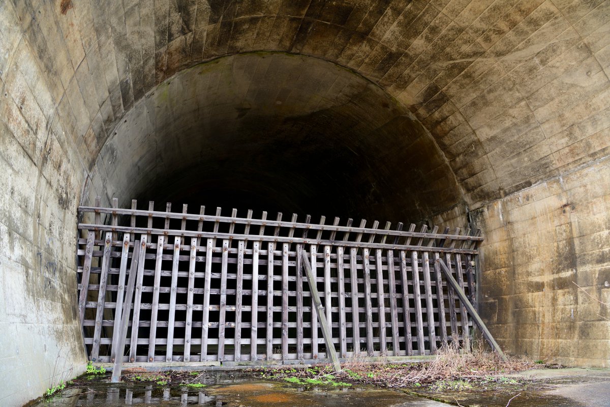 線閉中・続 tweet media