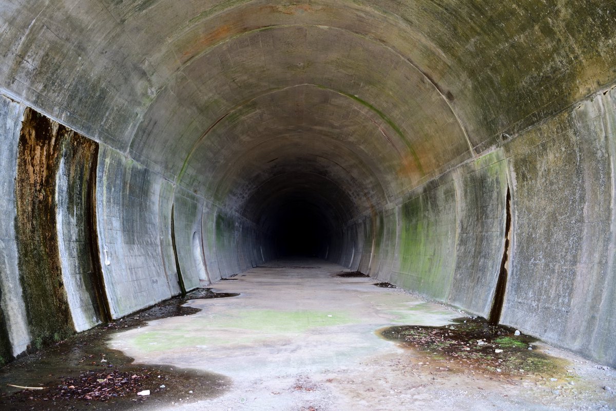 線閉中・続 tweet media