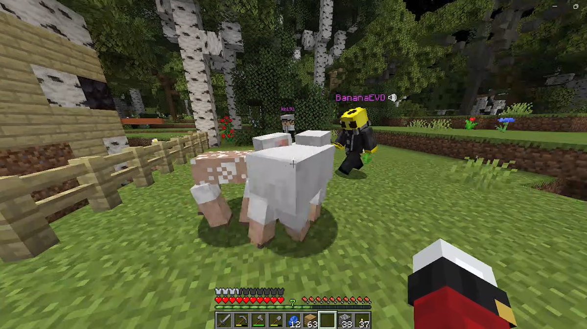 newpilot ✈️‼️ tweet media