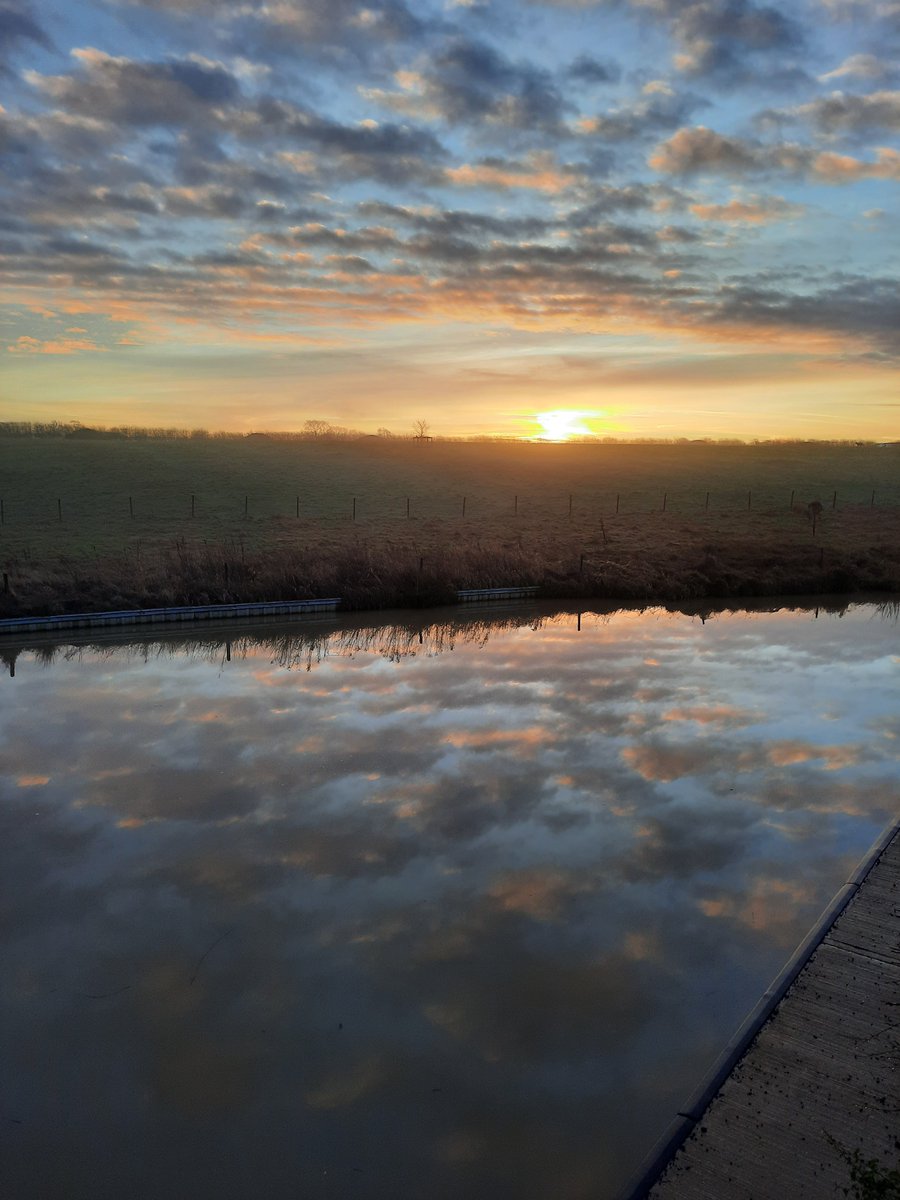 SwivelEyedLoon tweet media