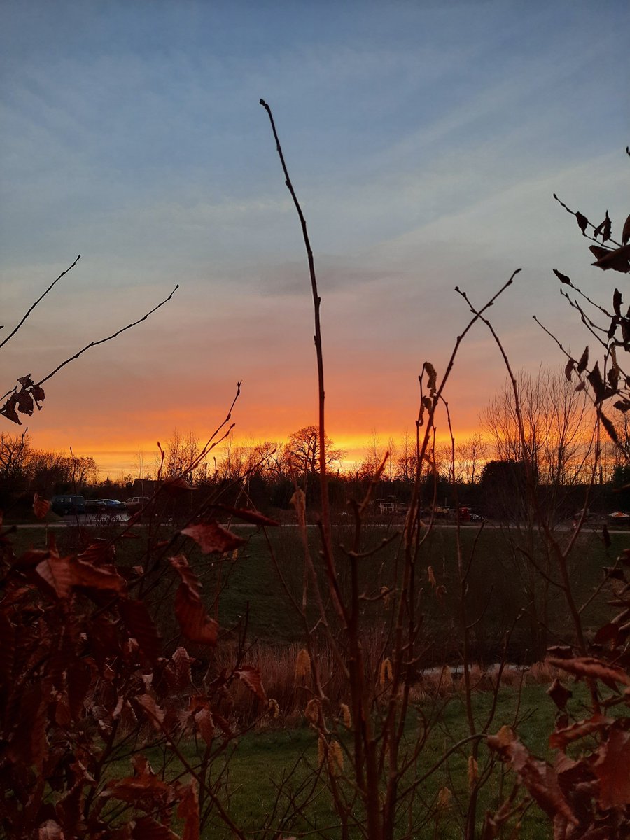 SwivelEyedLoon tweet media