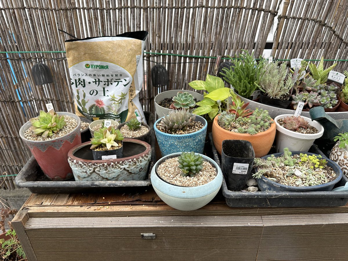 じゅう tweet media