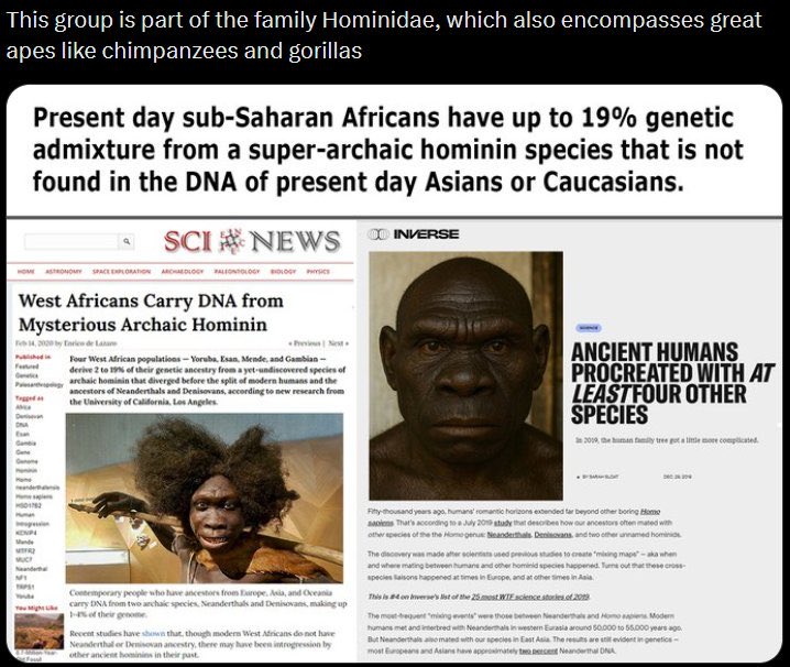 SECRET AGENT ELF tweet media