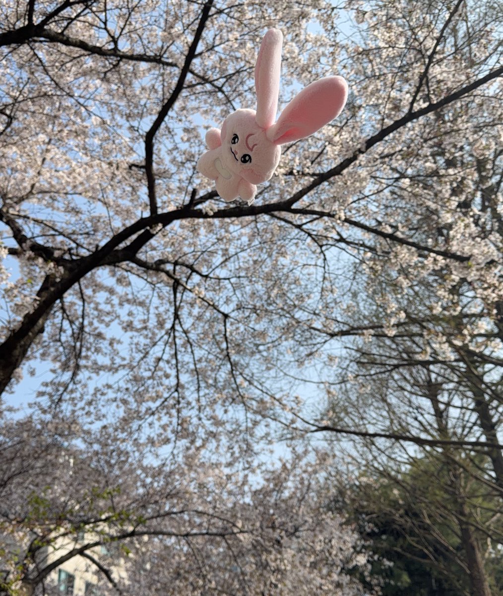 코고 ໒꒱ ‧₊˚ tweet media