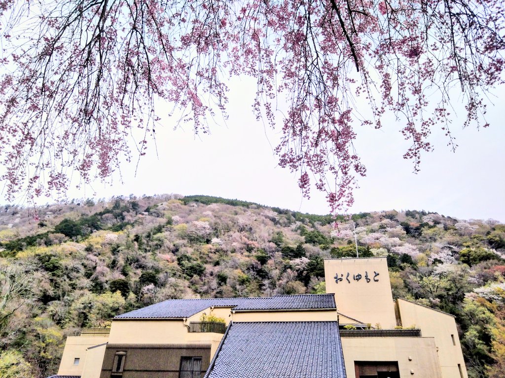 ホテルおくゆもと♨️【公式】箱根温泉 tweet media