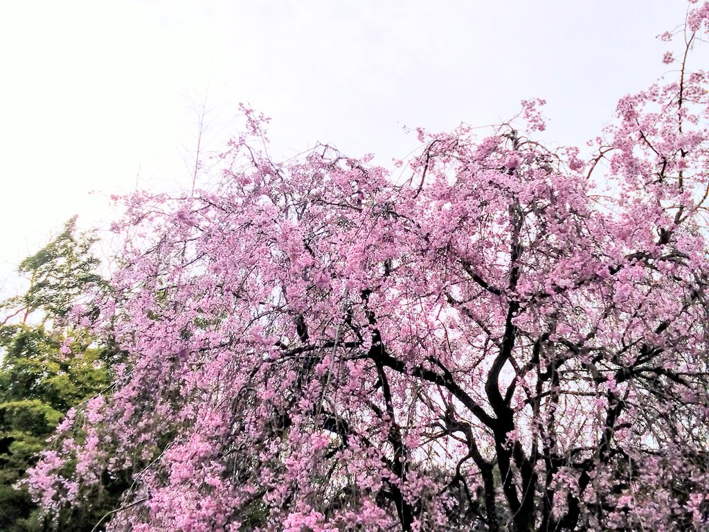 ホテルおくゆもと♨️【公式】箱根温泉 tweet media