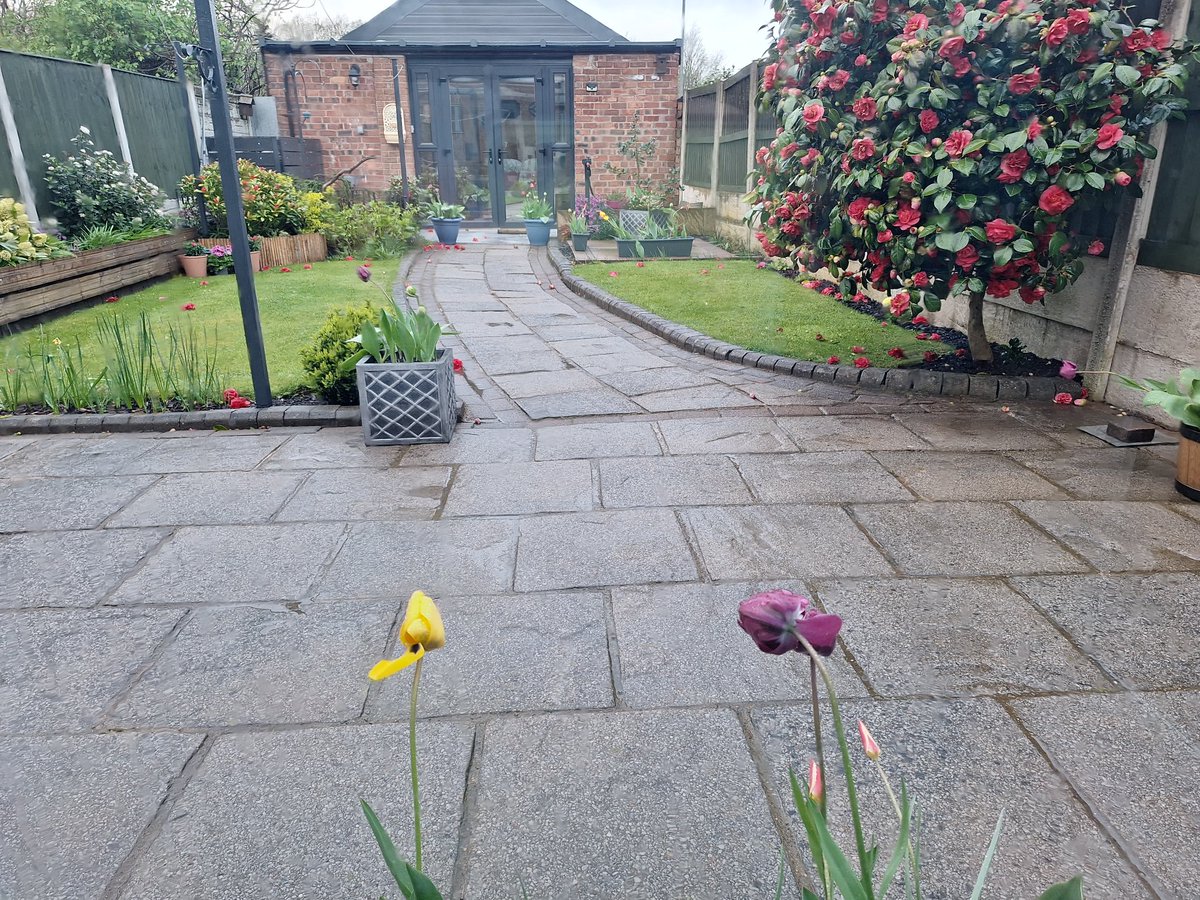 Paulie9461's tweet image. Three of my tulips almost lost a petal and my garden is covered in the Camelia flowers that were ready to fall #StormDave #FirstWorldProblems