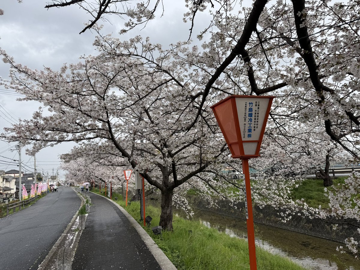 qq7b4d99k's tweet photo. #奈良県大和高田市
#高田千本桜
#桜
#大和高田
#yamatotakadacity https://t.co/kvlymwr9ZX