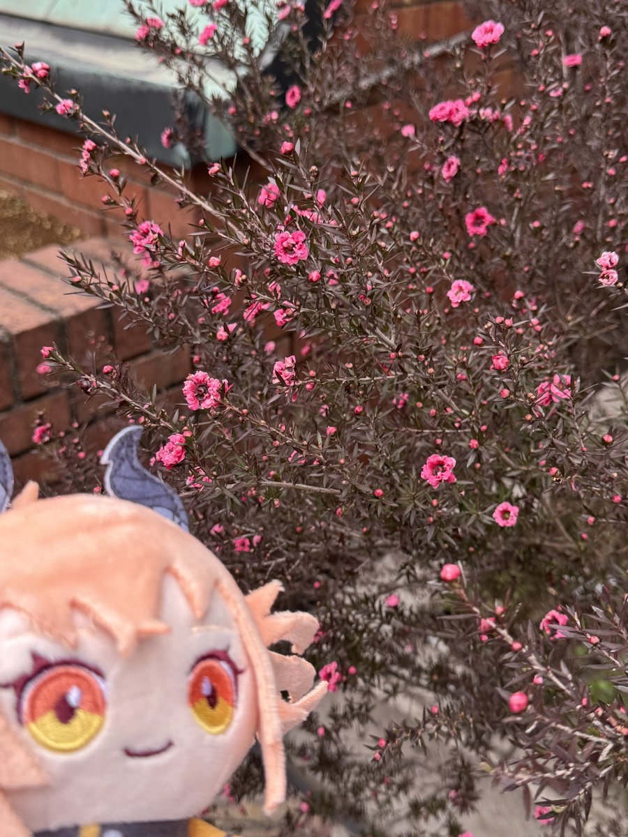 konax2(コナコナ) tweet media