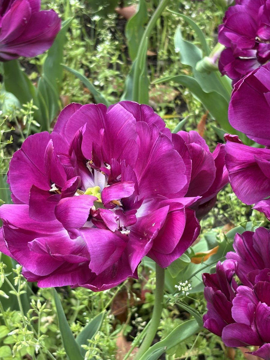 なるせ🥂 tweet media