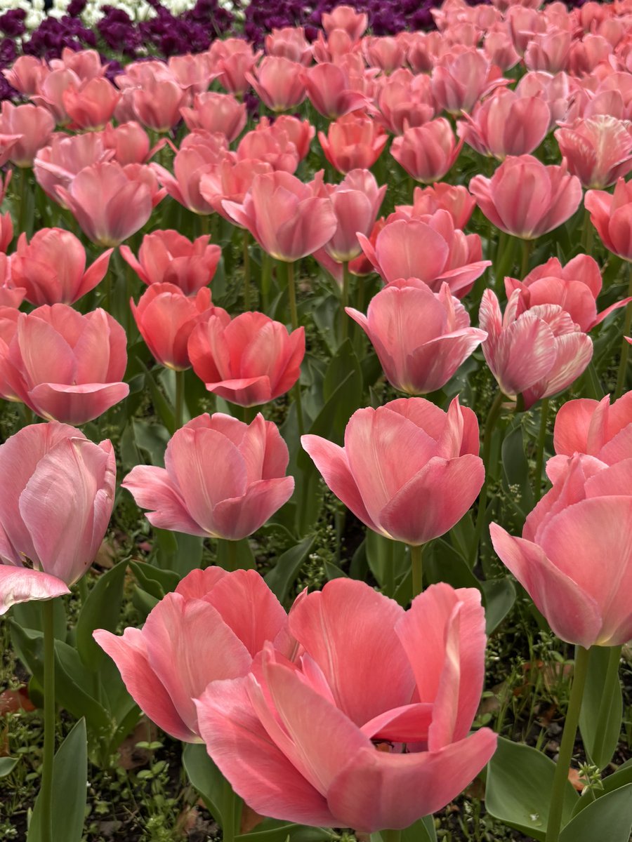 なるせ🥂 tweet media