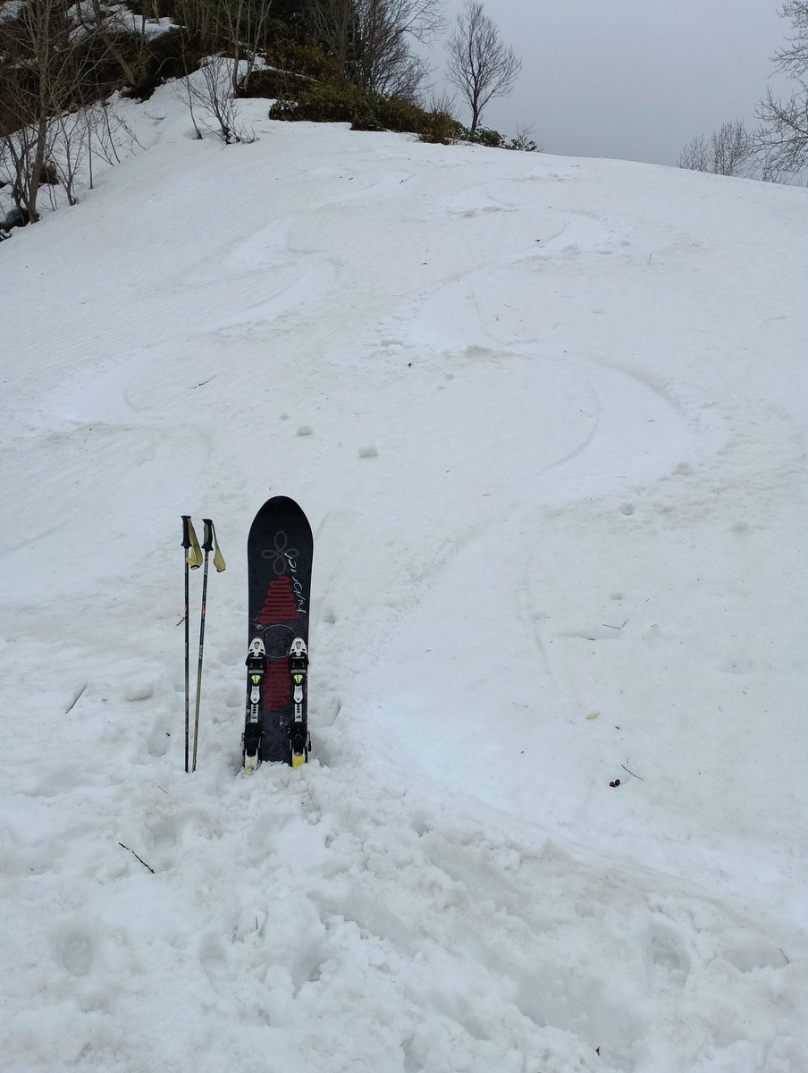 marutake tweet media