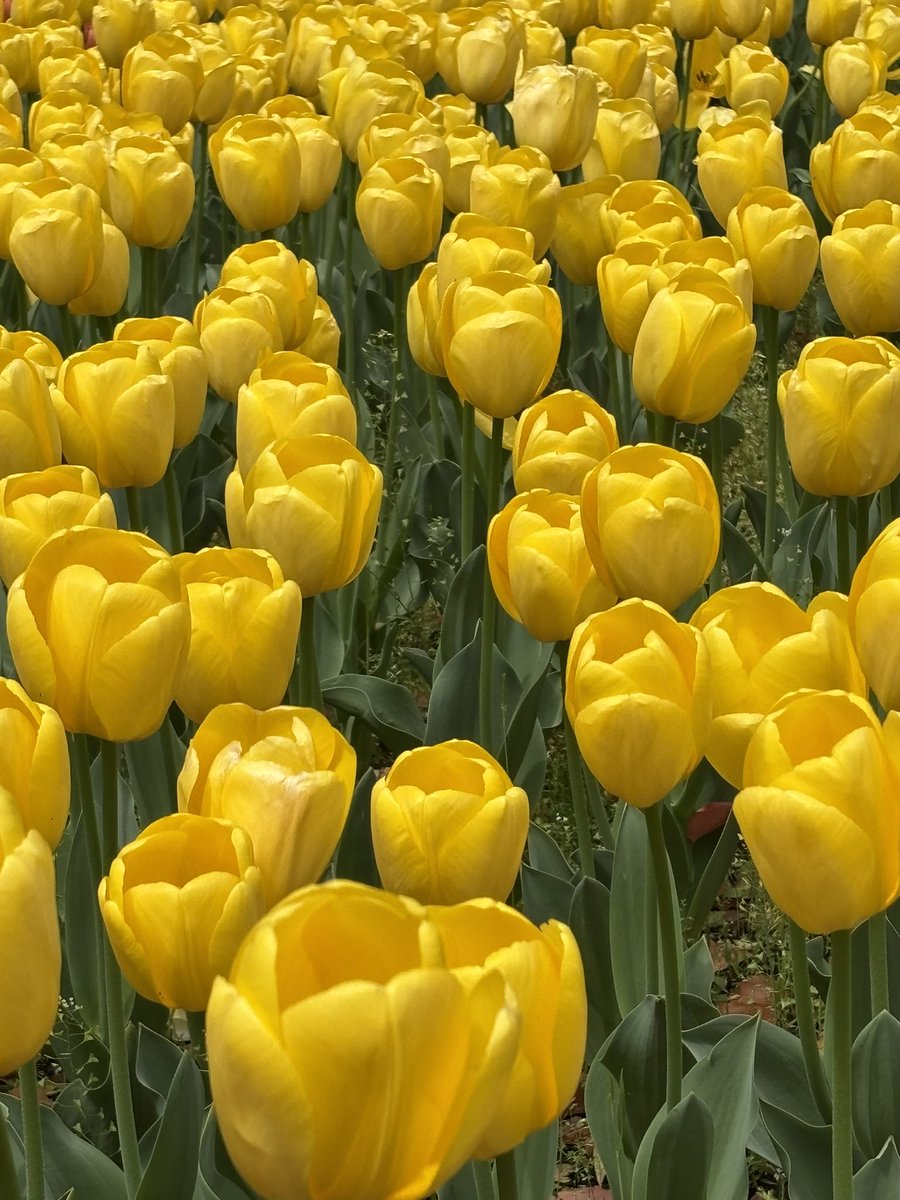 なるせ🥂 tweet media