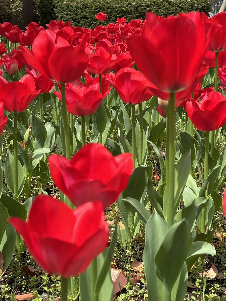 なるせ🥂 tweet media