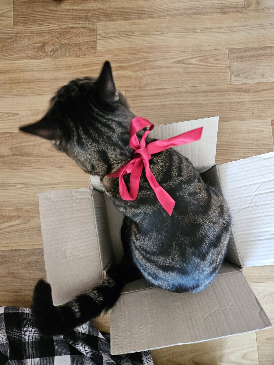 뽁주💙 tweet media