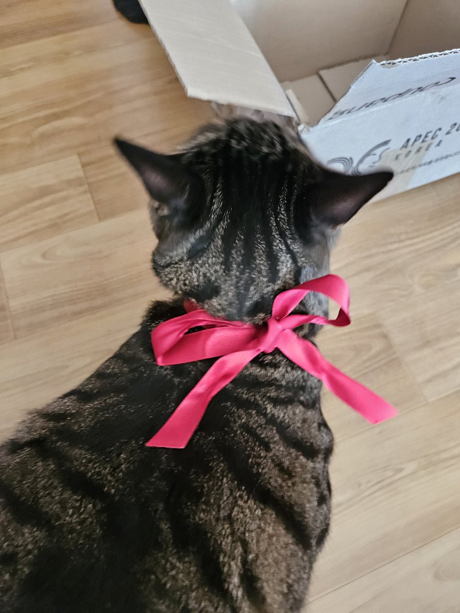 뽁주💙 tweet media