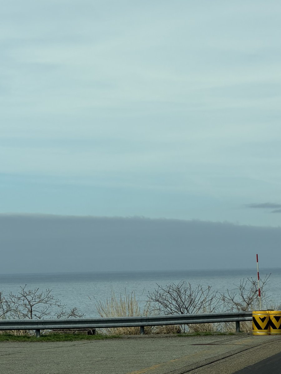 🍀✨ひよこママ🍀✨ tweet media