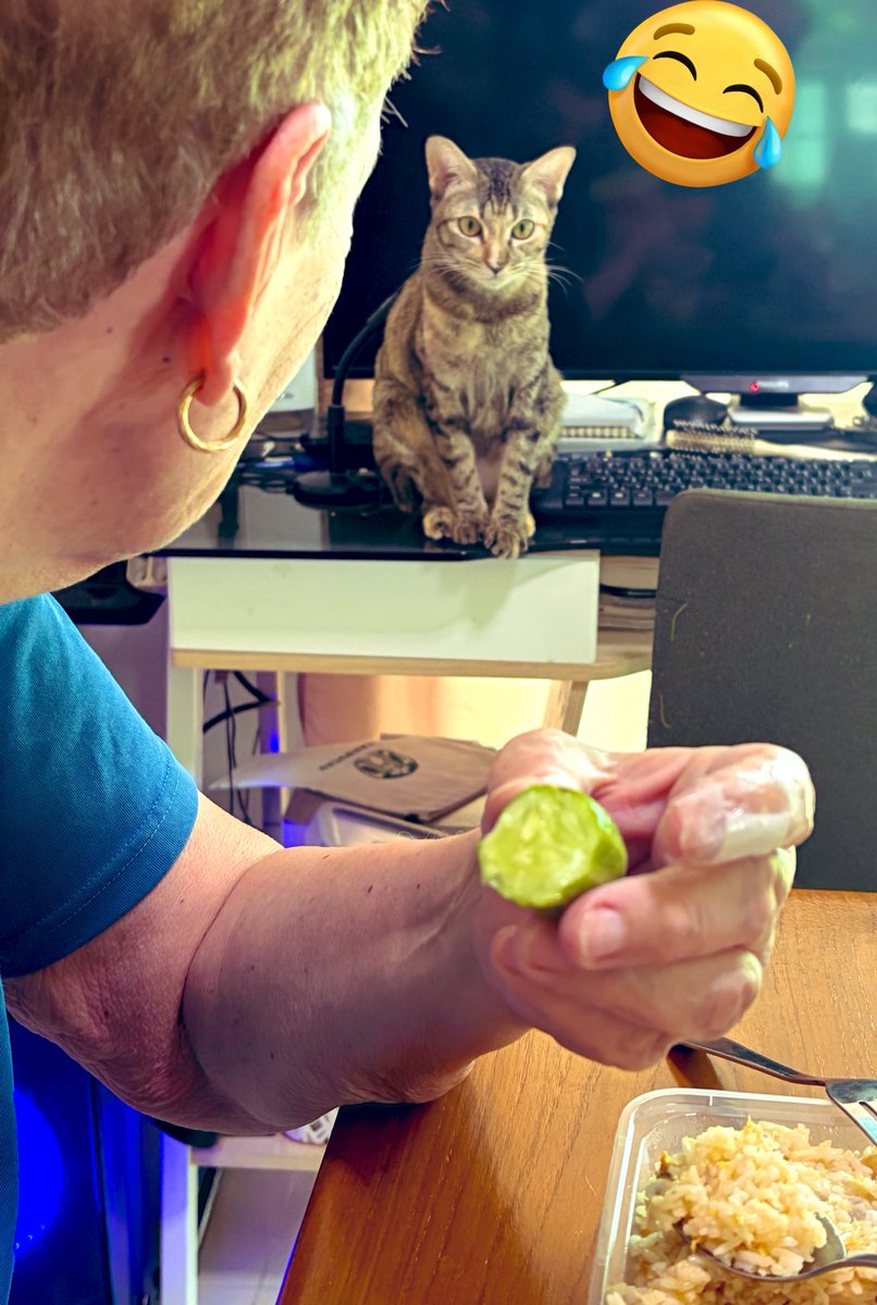 Rawin Ch🇹🇭Stand for ๑๑๒🇹🇭 tweet media