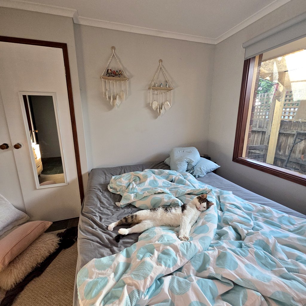 🇦🇺 Katie 🥂 tweet media