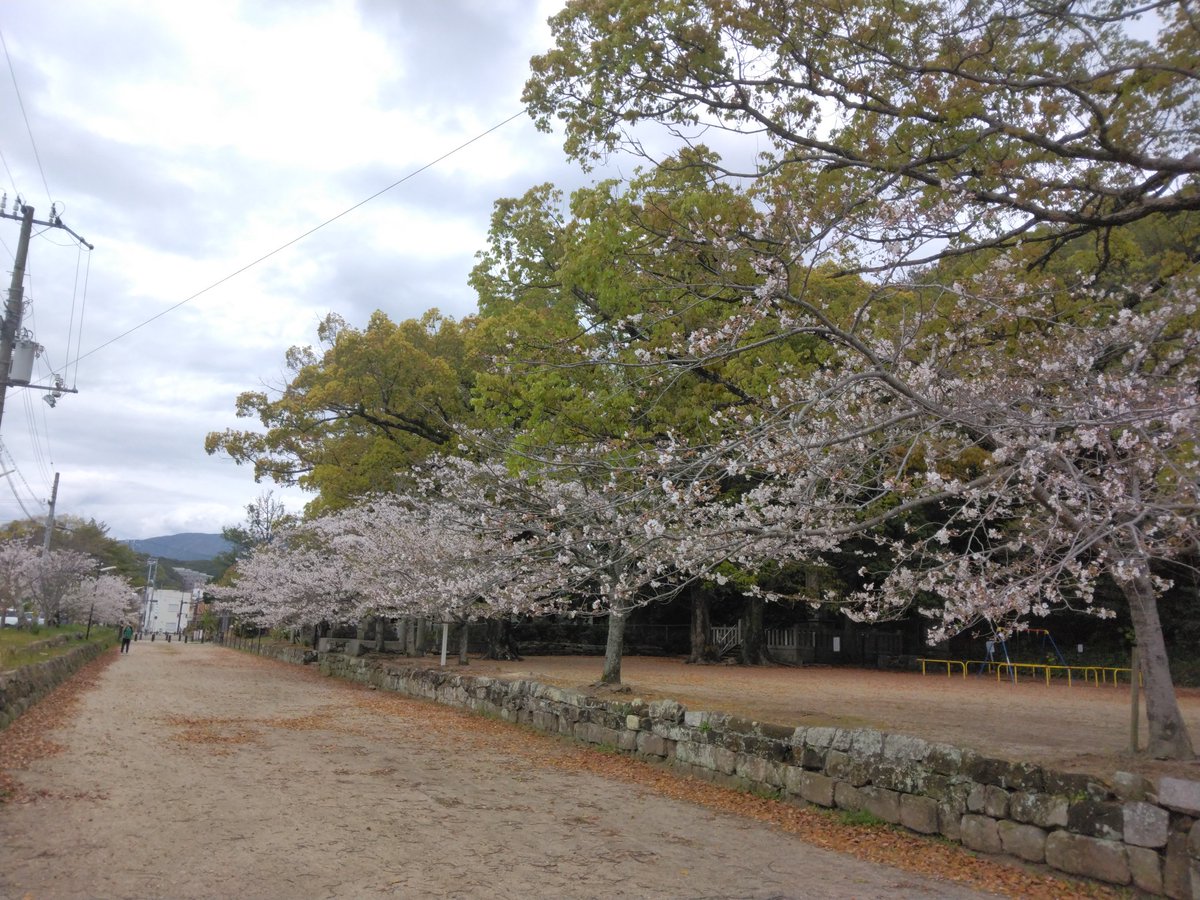 かるら tweet media