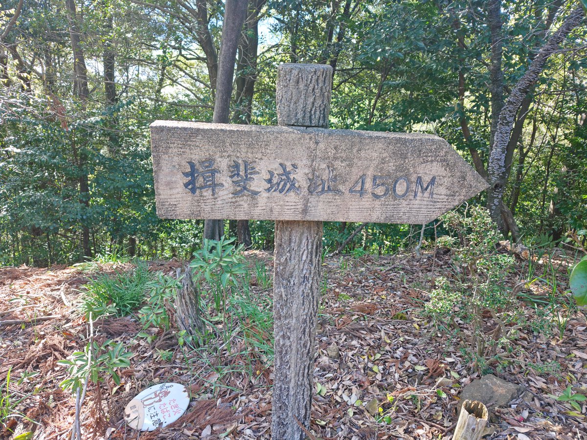 るり＠真田兵 tweet media