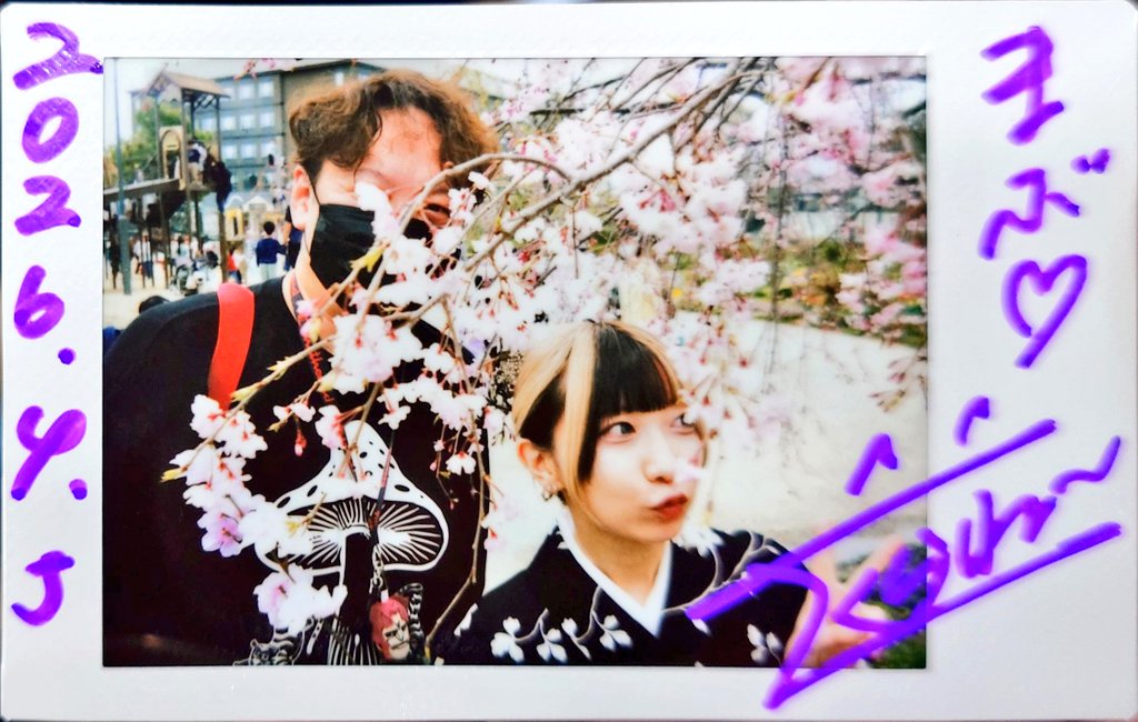 まぶ🐱 tweet media