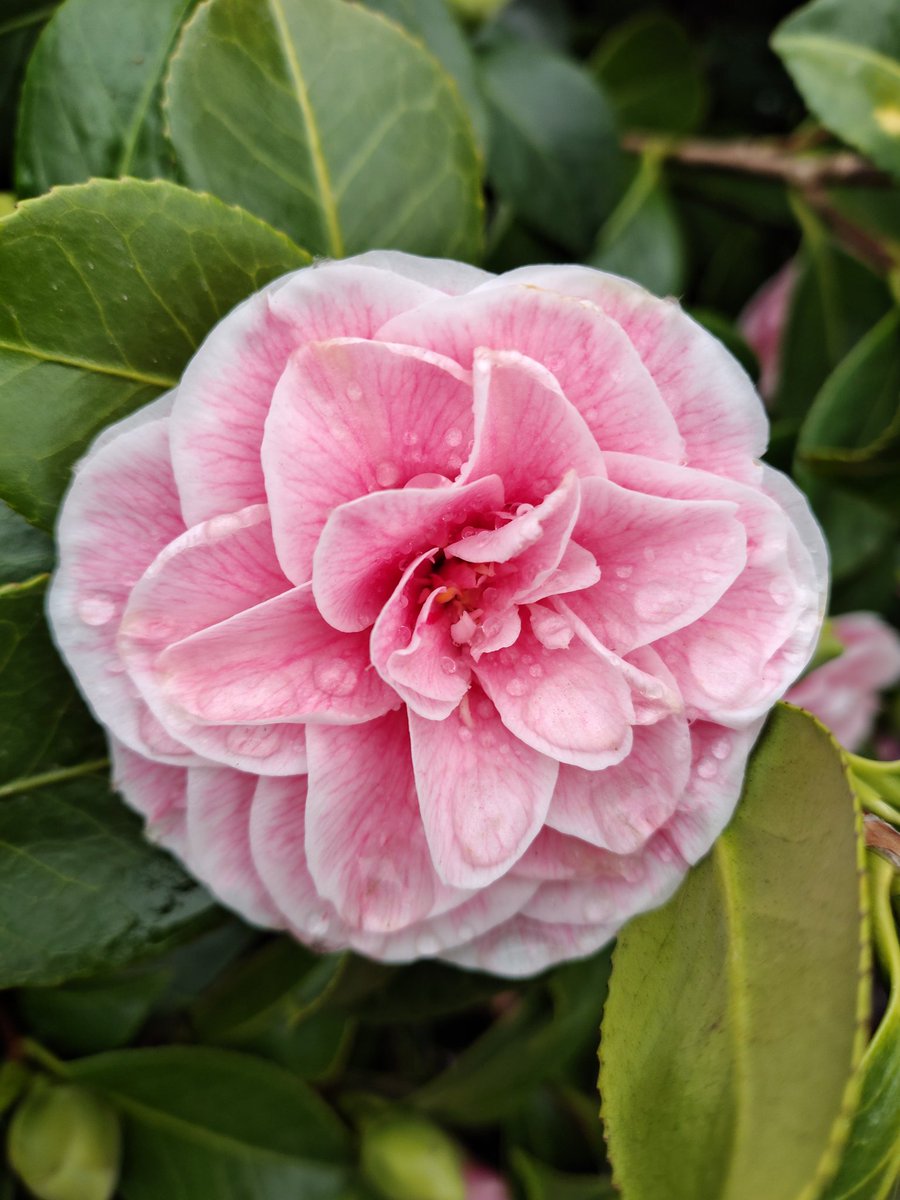 Julie 🏴󠁧󠁢󠁷󠁬󠁳󠁿Elizabeth 🏴󠁧󠁢󠁷󠁬󠁳󠁿 tweet media