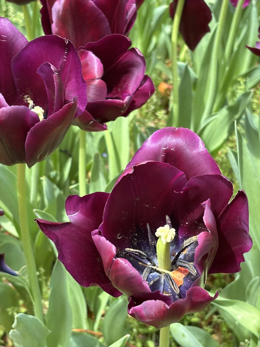 なるせ🥂 tweet media