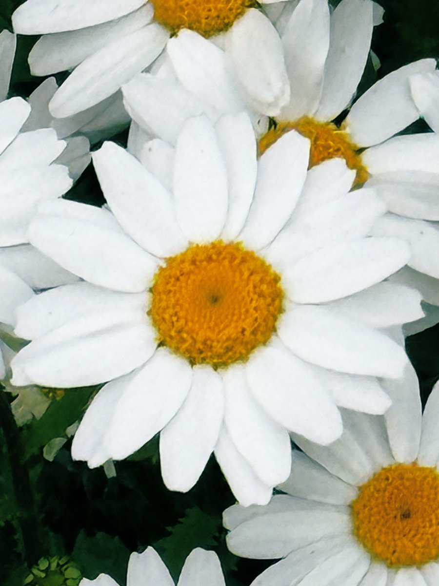 うに🧡 tweet media