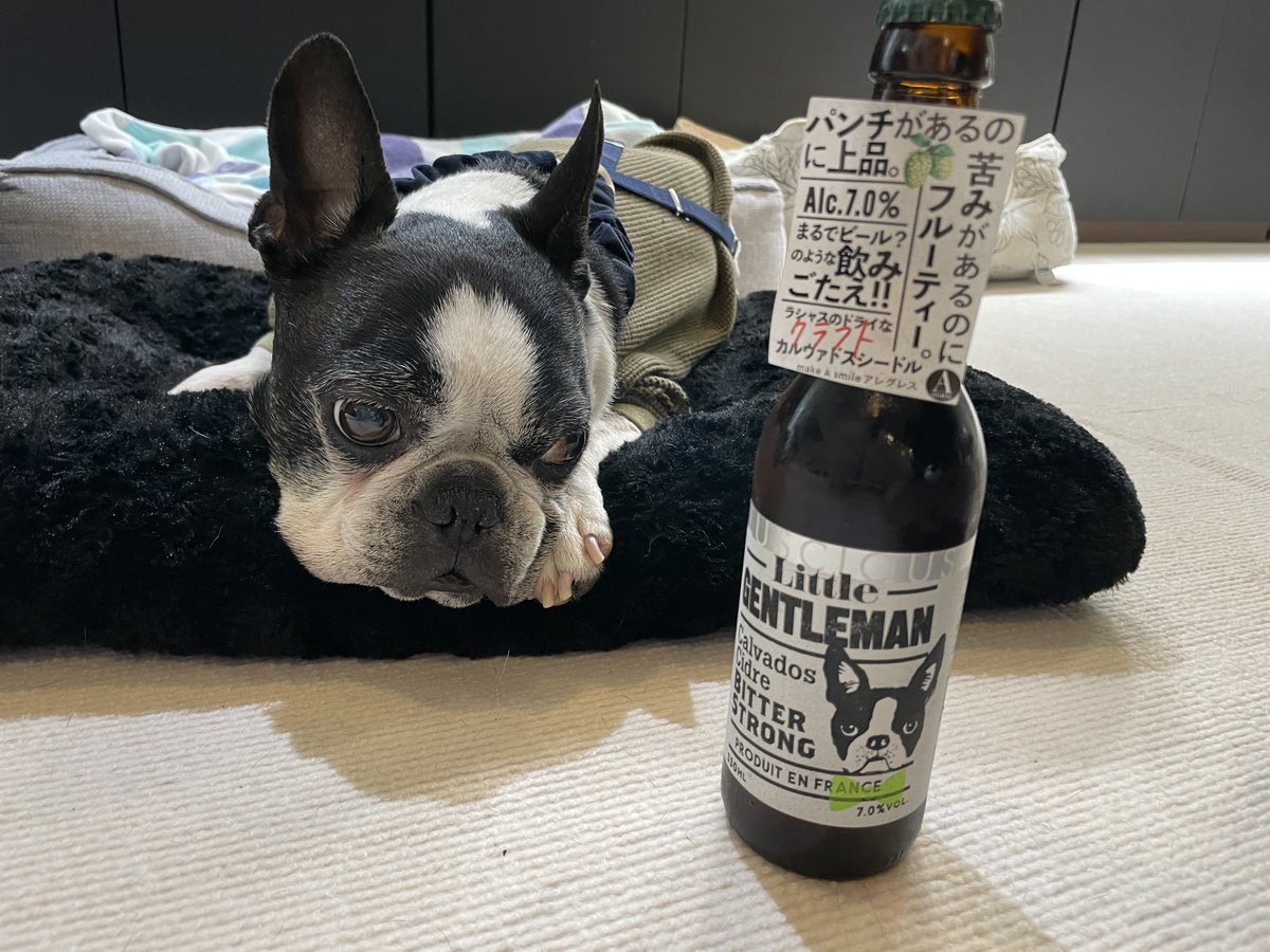 Shigetsu Takayama tweet media