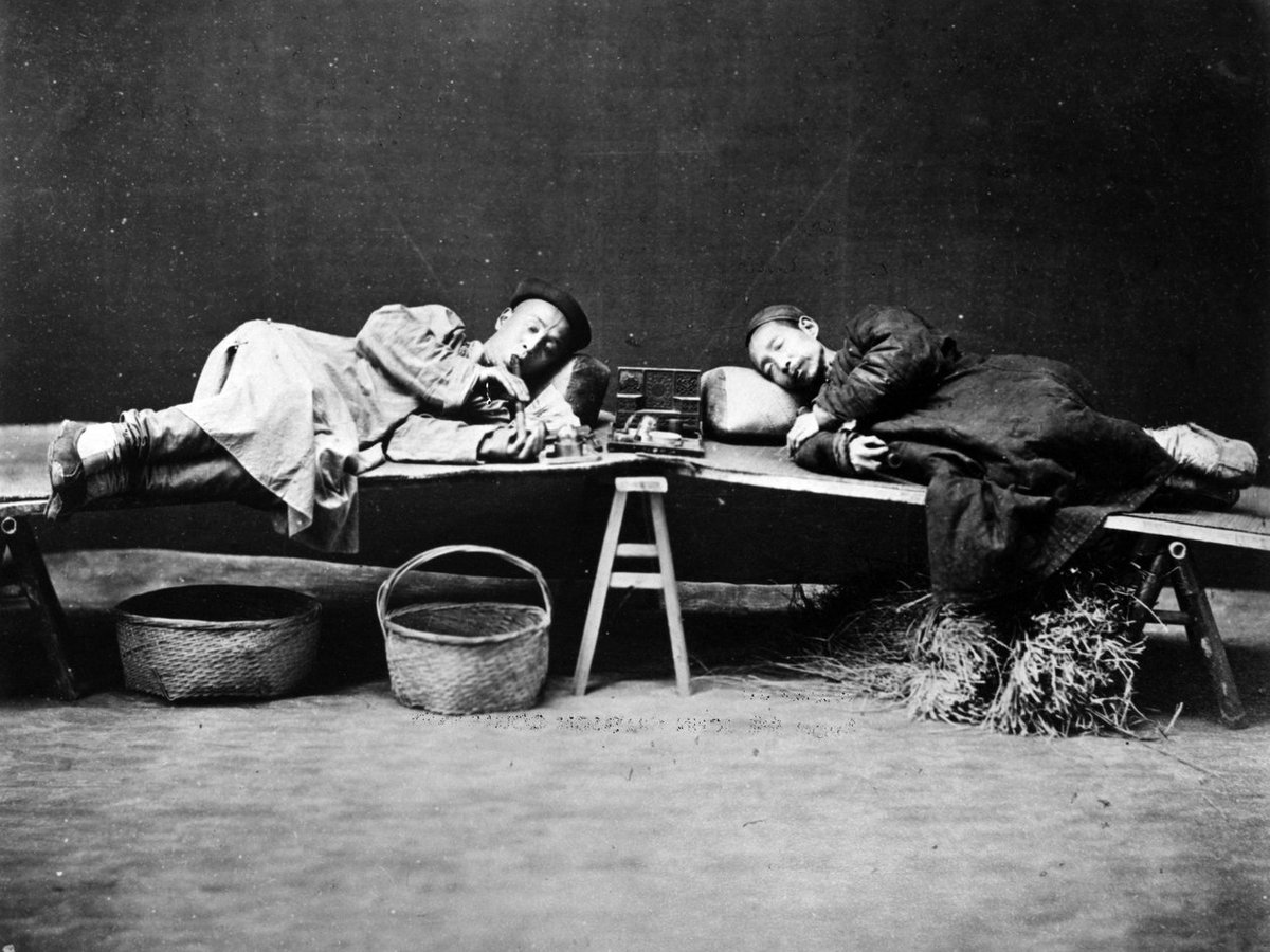 Lizard.Queen tweet media