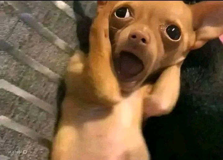 Bathong Tshepo tweet media